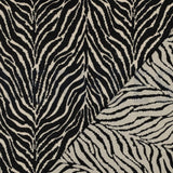 Animal Zebra Print