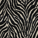 Animal Zebra Print
