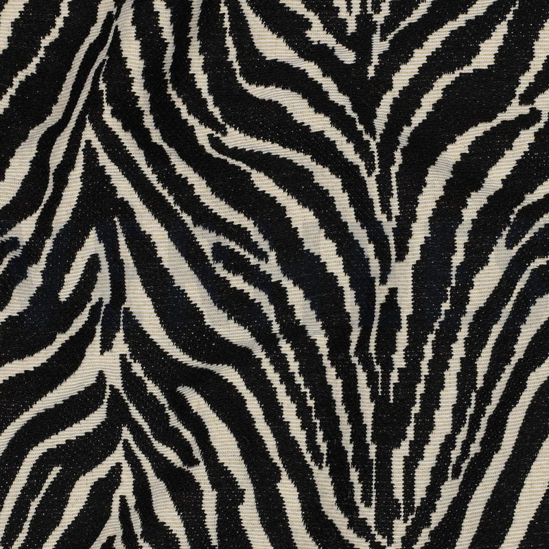 Animal Zebra Print