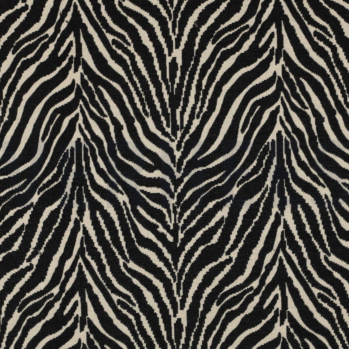 Animal Zebra Print