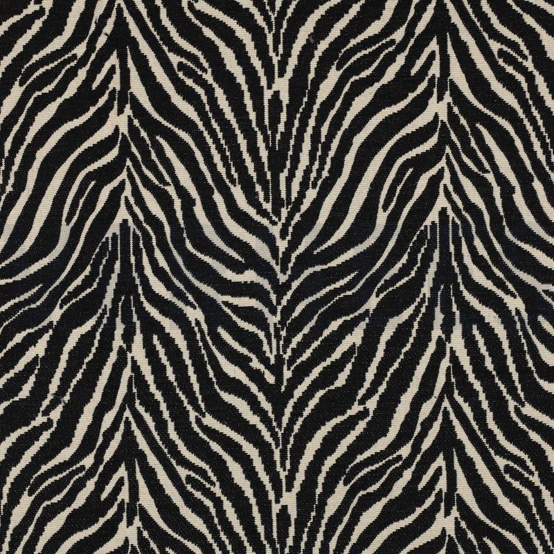 Animal Zebra Print