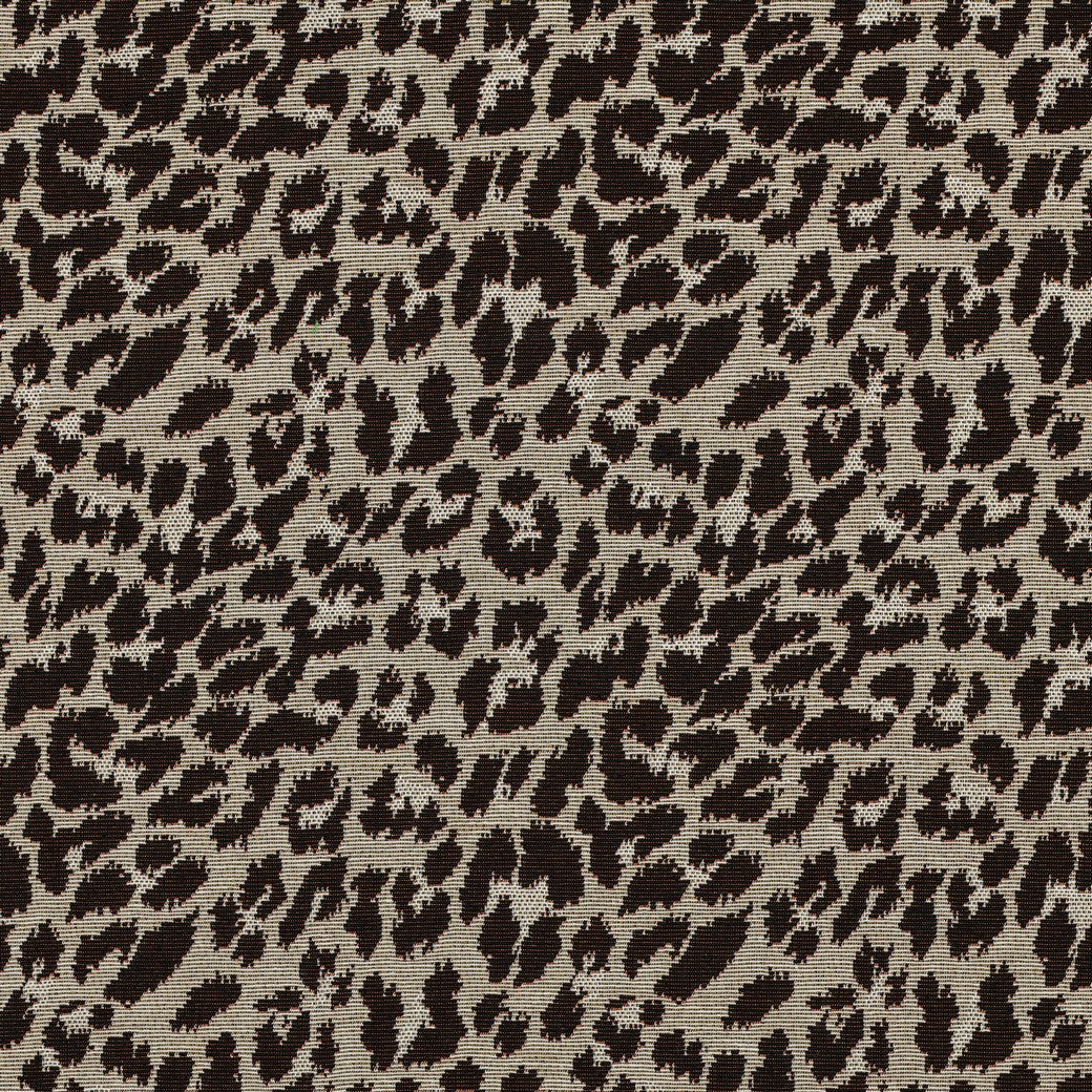Brown Animal Spots