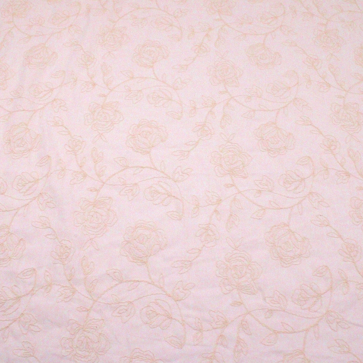 Cream Peony