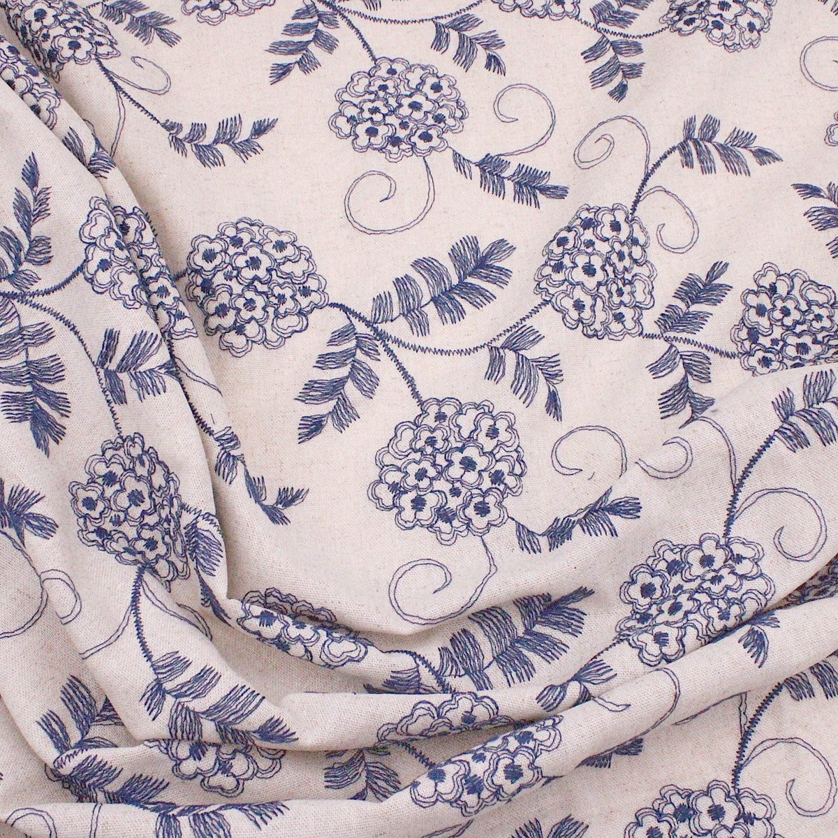 Navy Hydrangea