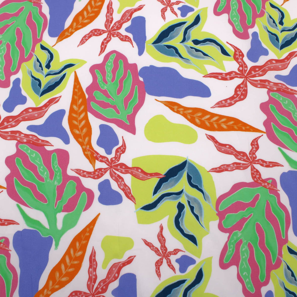 Coloured Sea Leaves