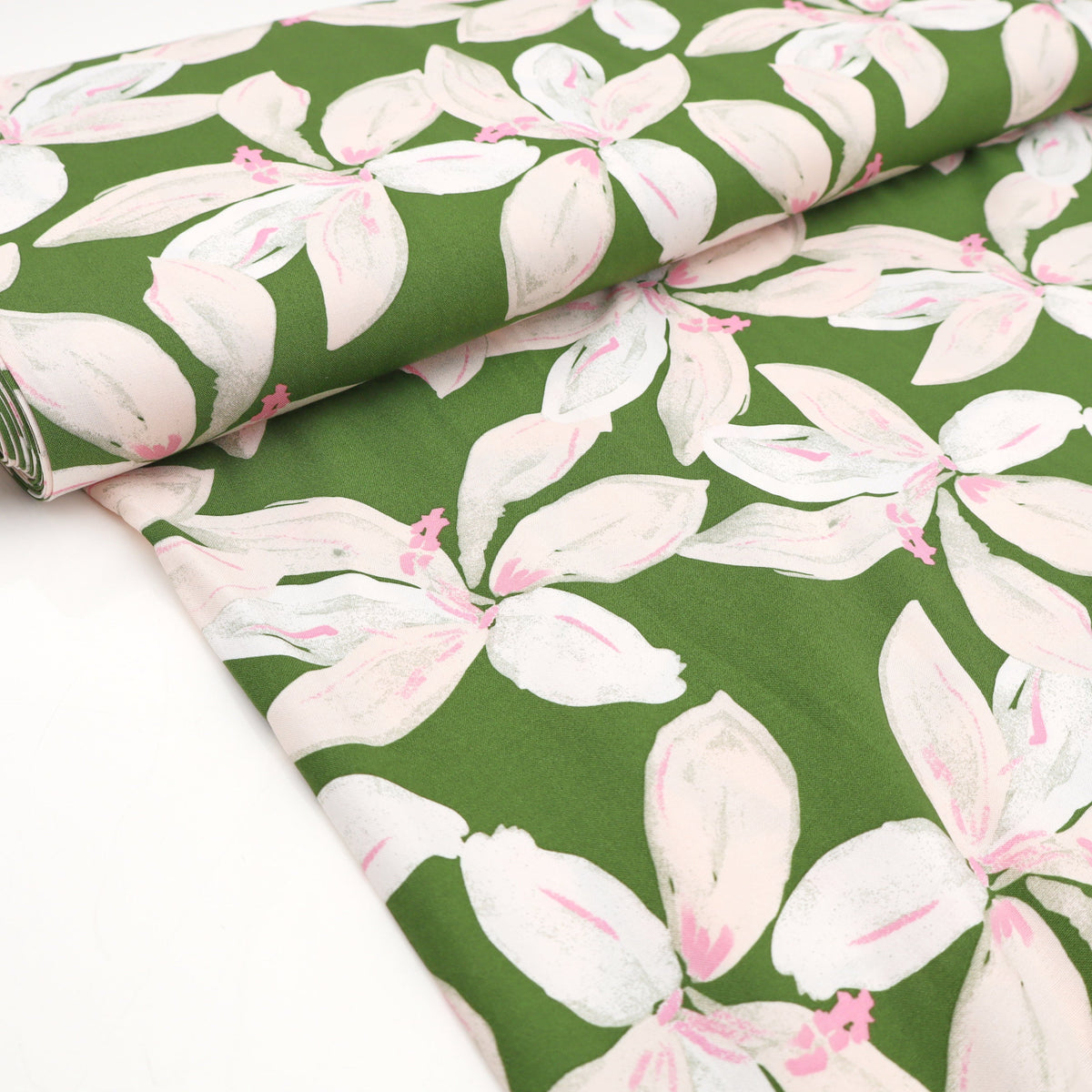 Lily Olive