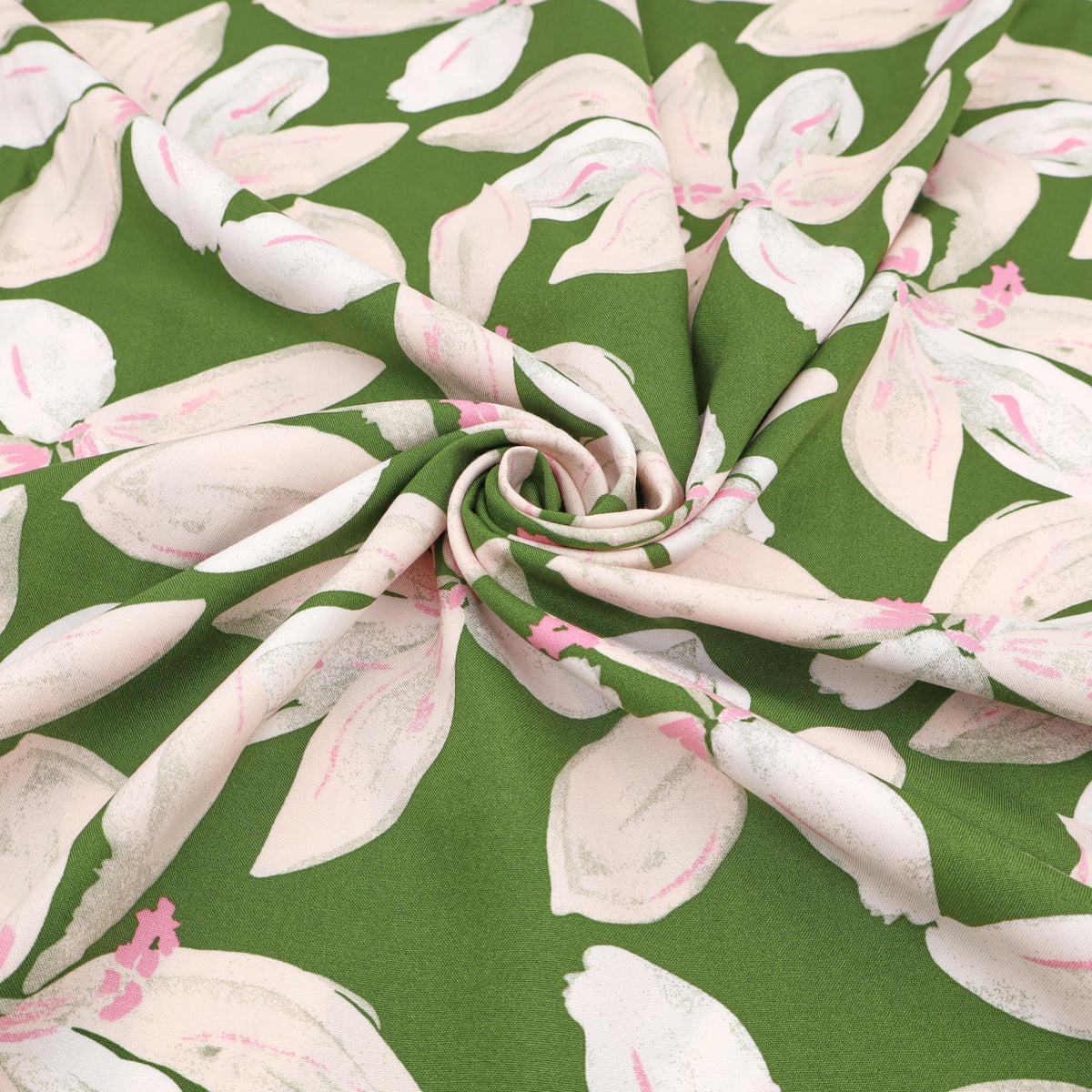 Lily Olive