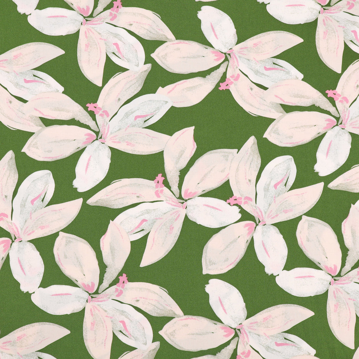 Lily Olive