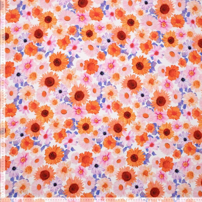 Vibrant Daisies