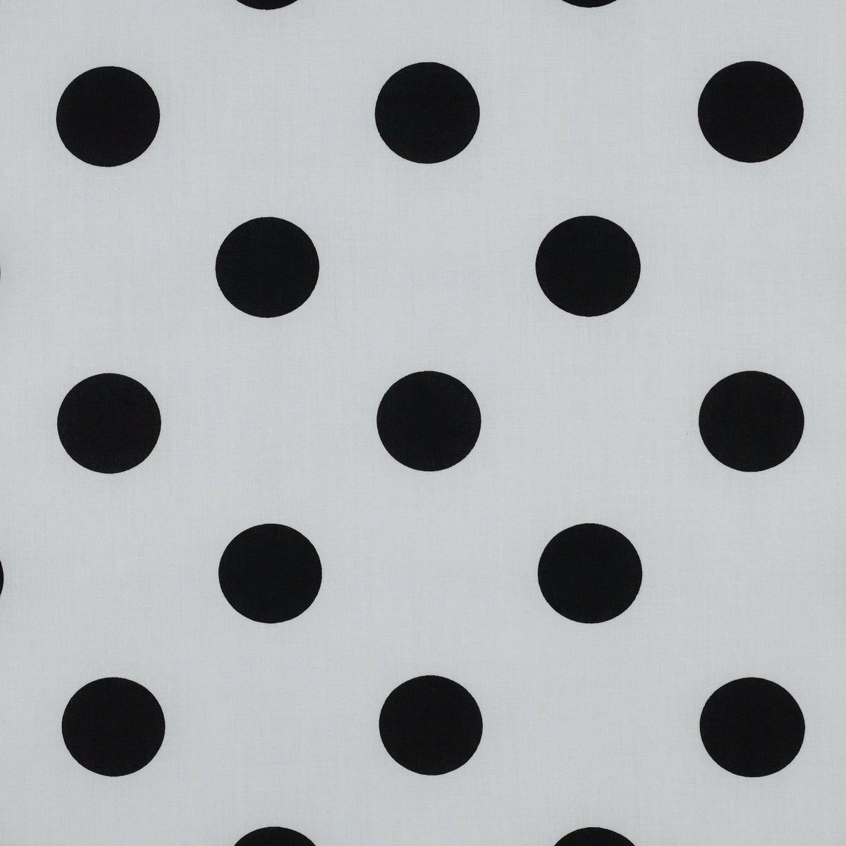 White Polka Dots