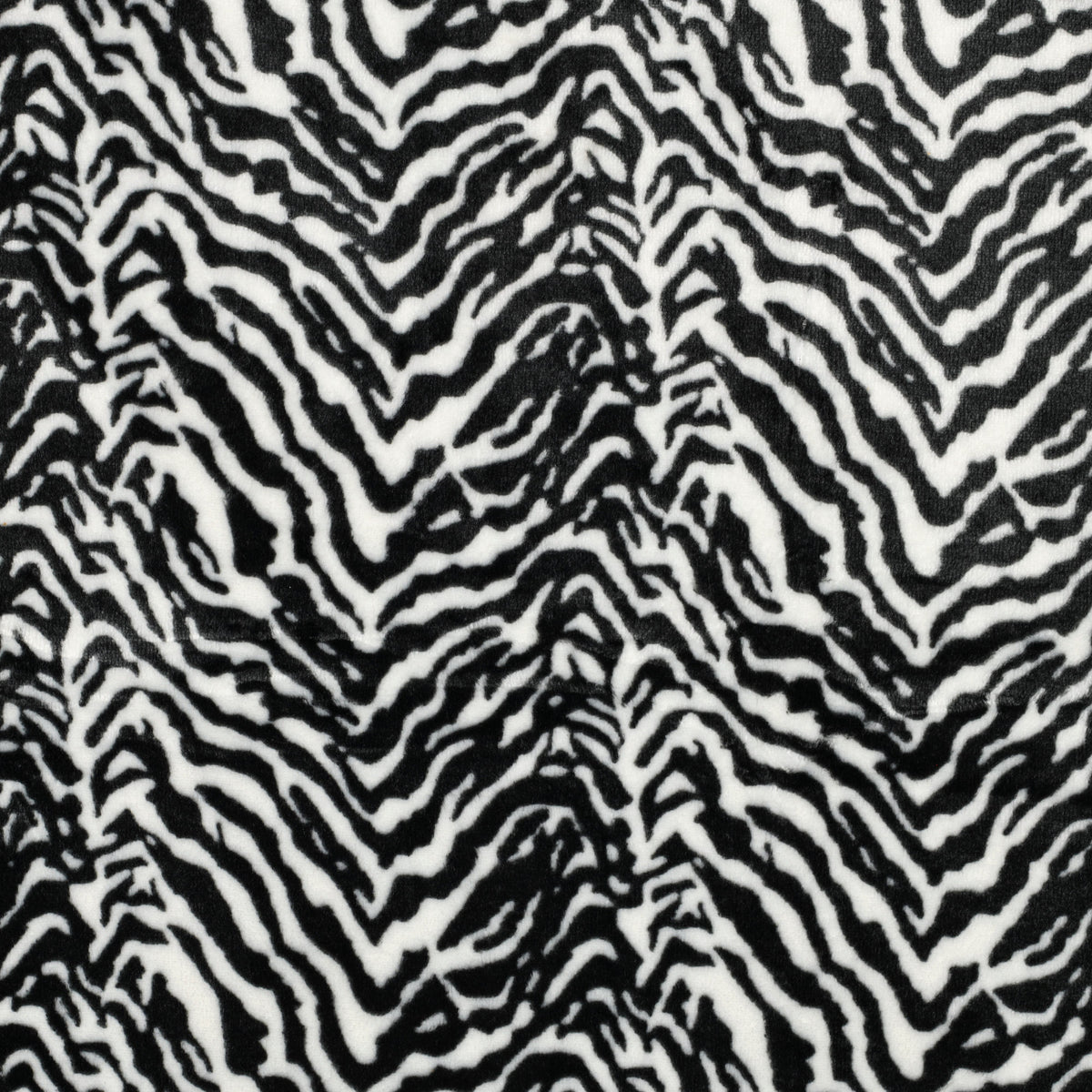 Kyla Printed Cuddle Velour Feel Fleece Fabric - Black & White Zebra