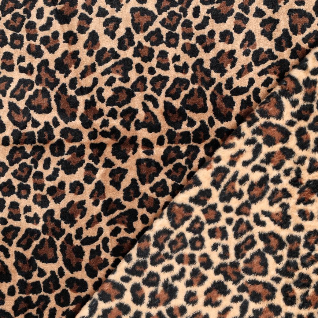 Leopard Spots Brown