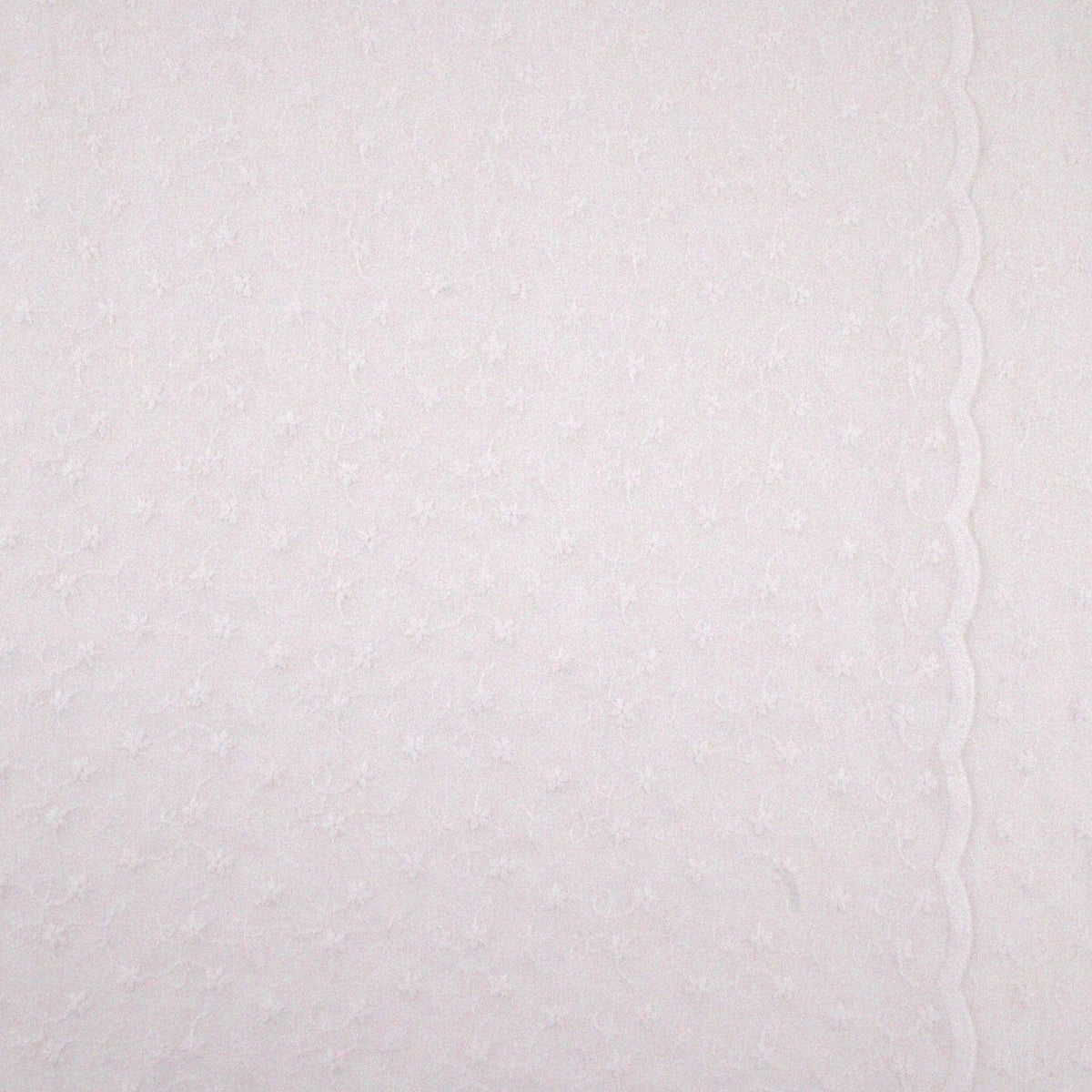 Kylie Cotton Embroidery Broderie Anglaise - Scalloped Edge White