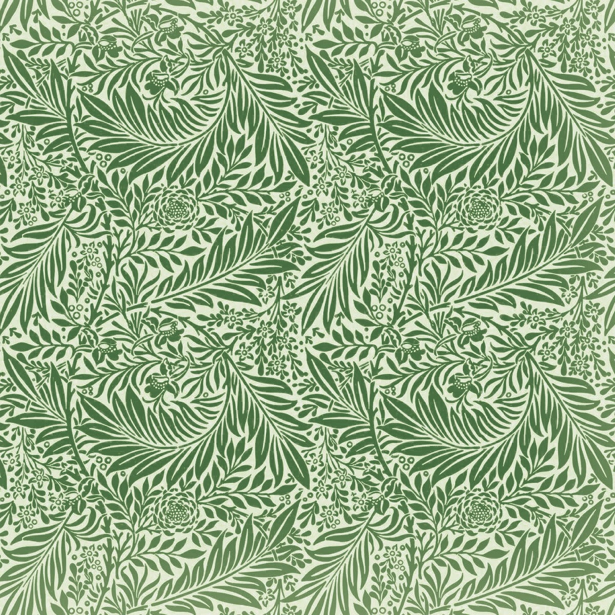 Sage