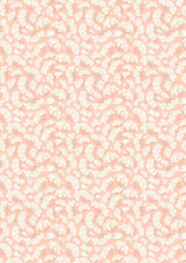 Cow Parsley on Peach Blush