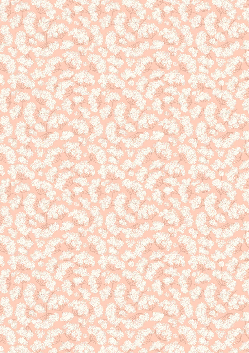 Cow Parsley on Peach Blush