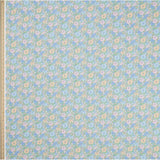 Meadow Song Blue D