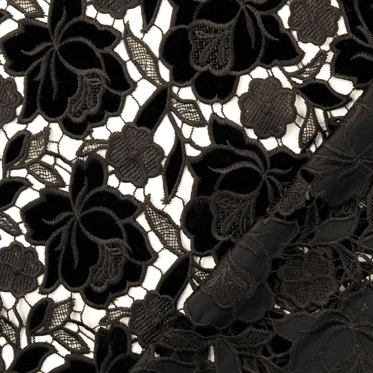 Black Rose