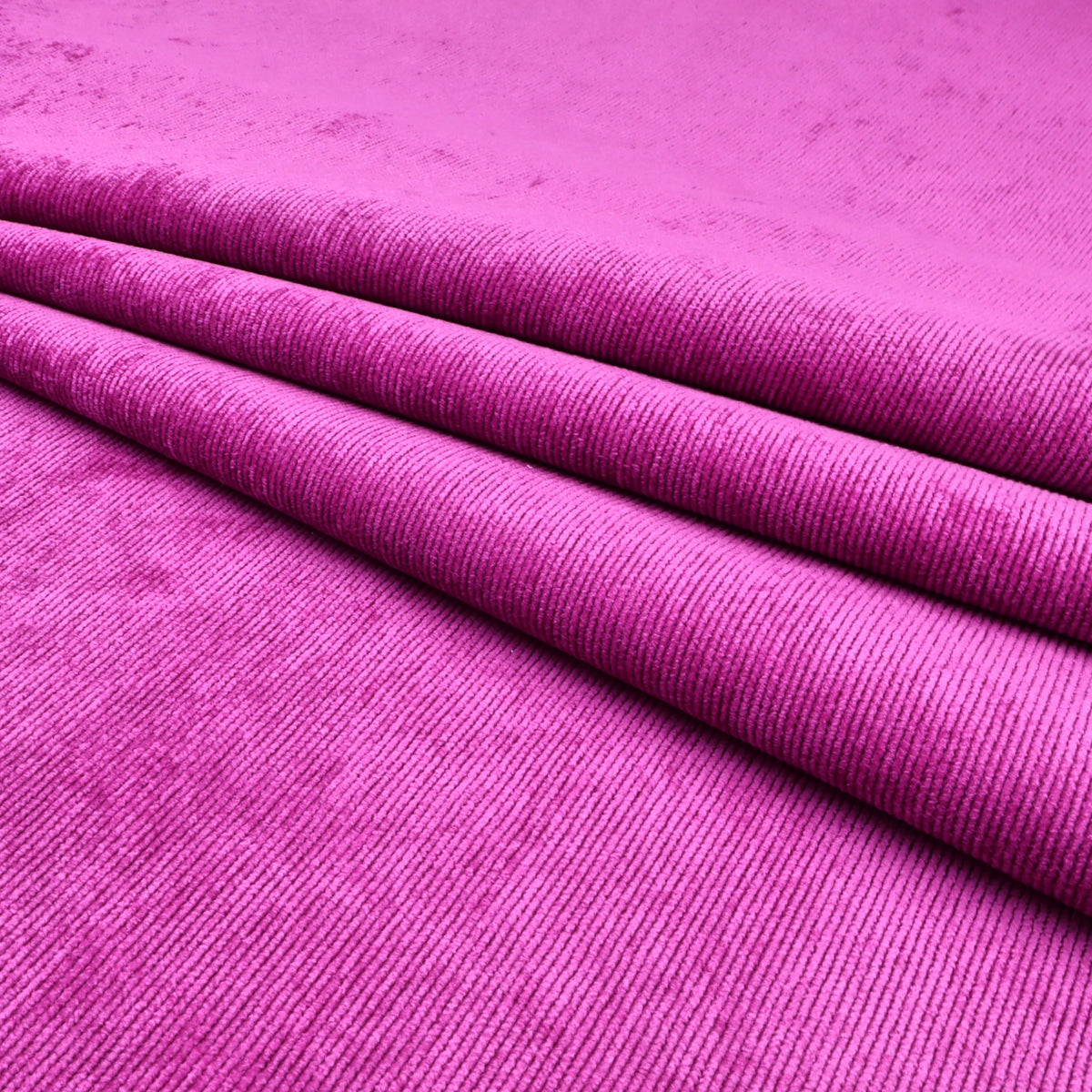 Fuschia