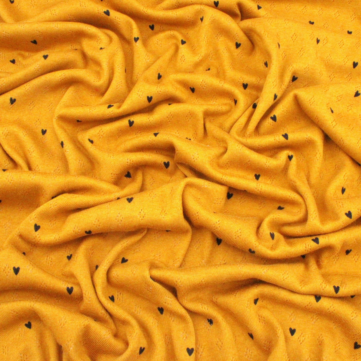 Mustard Gold