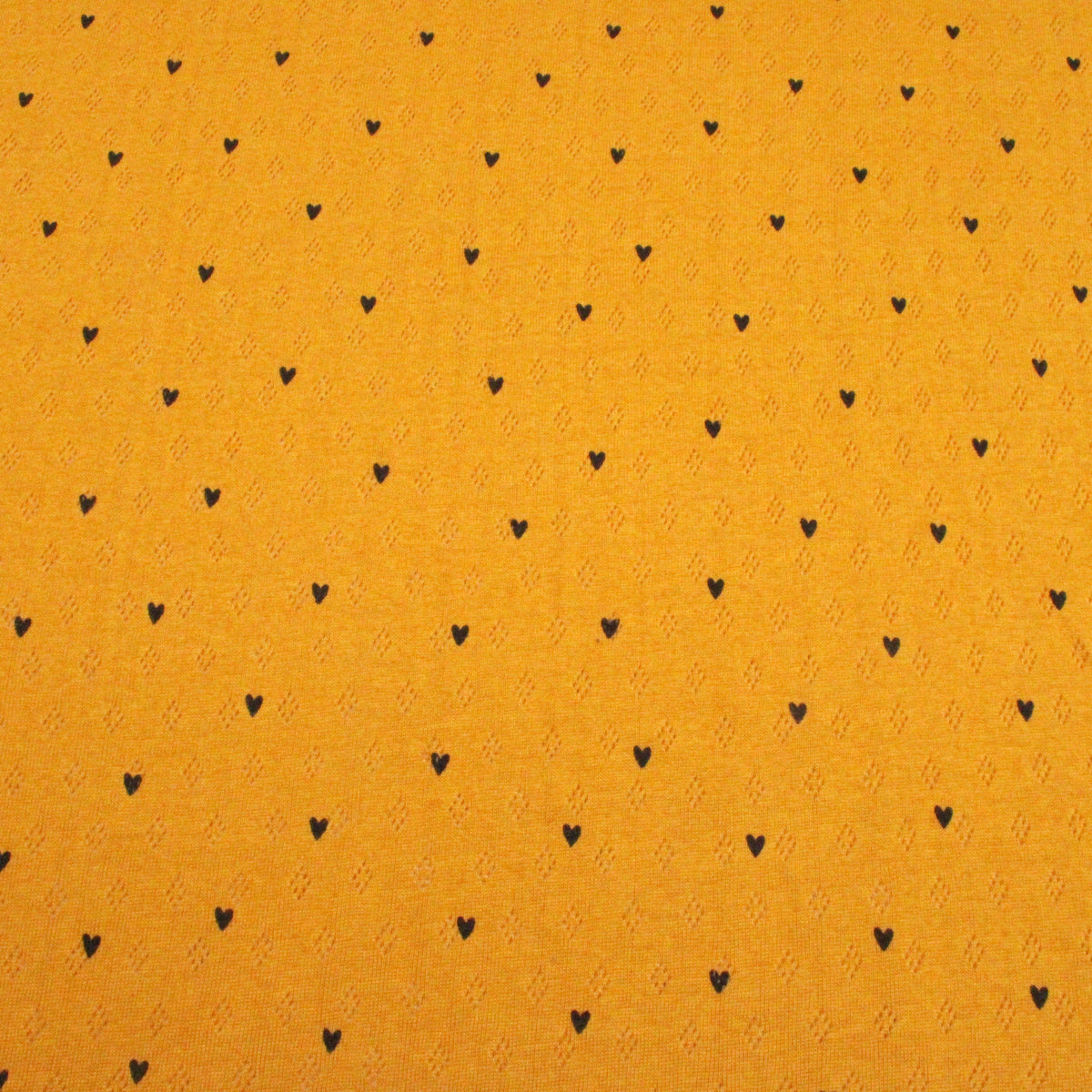 Mustard Gold