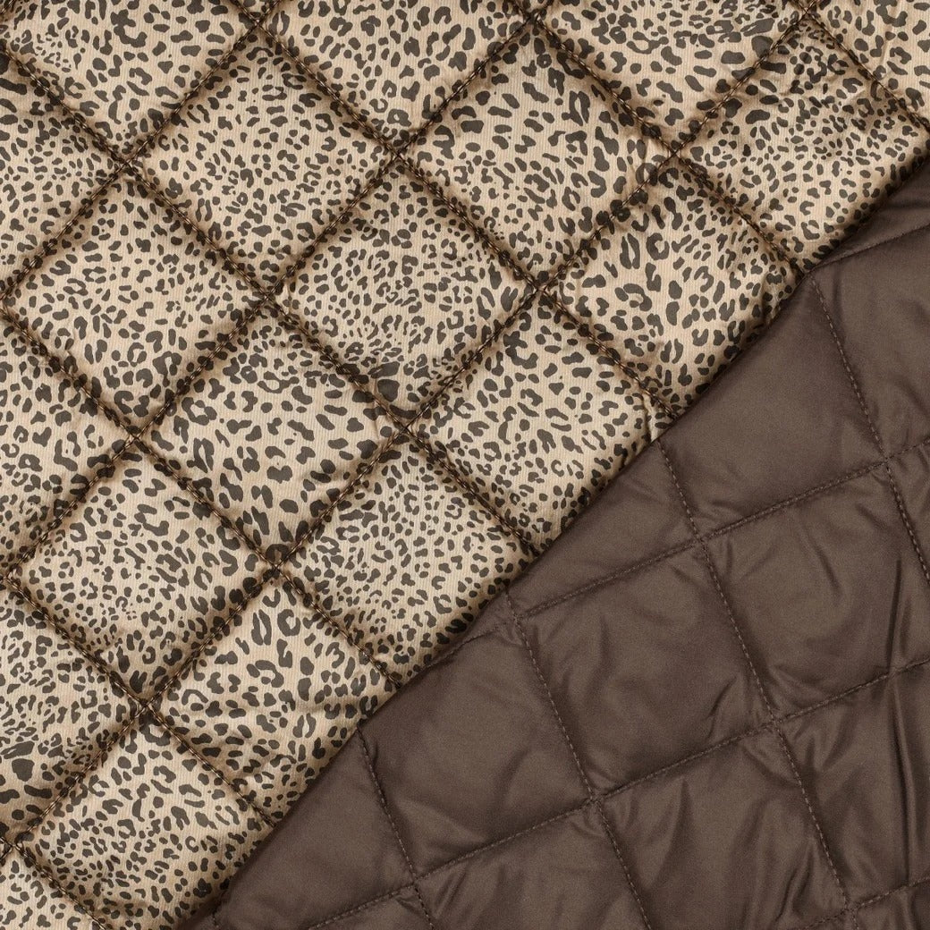 Bronze Leopard