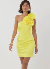 Simplicity Misses & Miss Petite Dress with 3D Flowers Pattern S3099