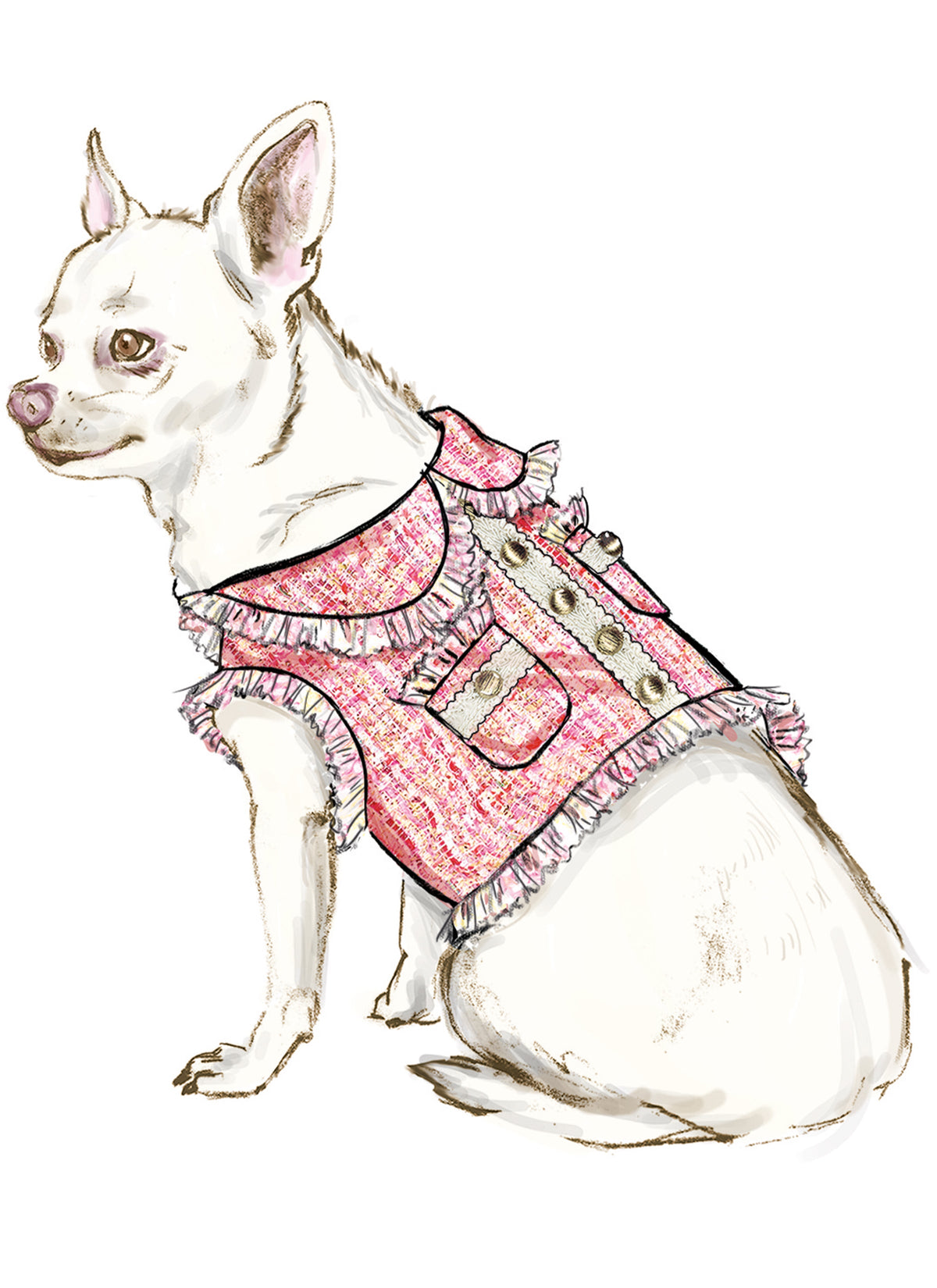 Simplicity Dog Coats: Easy-to-Follow Sewing Pattern S9970A