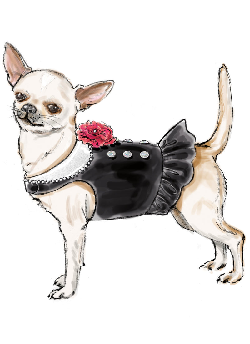 Simplicity Dog Coats: Easy-to-Follow Sewing Pattern S9970A