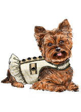 Simplicity Dog Coats: Easy-to-Follow Sewing Pattern S9970A