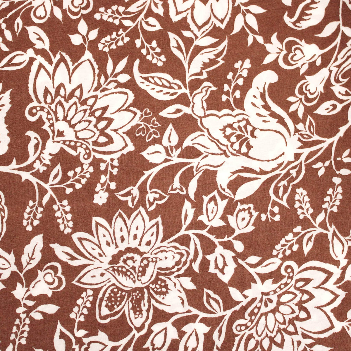 Coffee Bloom