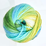 Wendy Wools Giggles DK Acrylic Yarn 100g - WG03