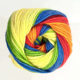 Wendy Wools Giggles DK Acrylic Yarn 100g - WG10