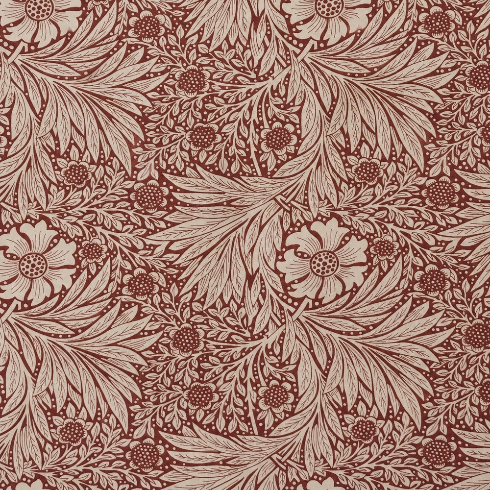 Burgundy Marigold