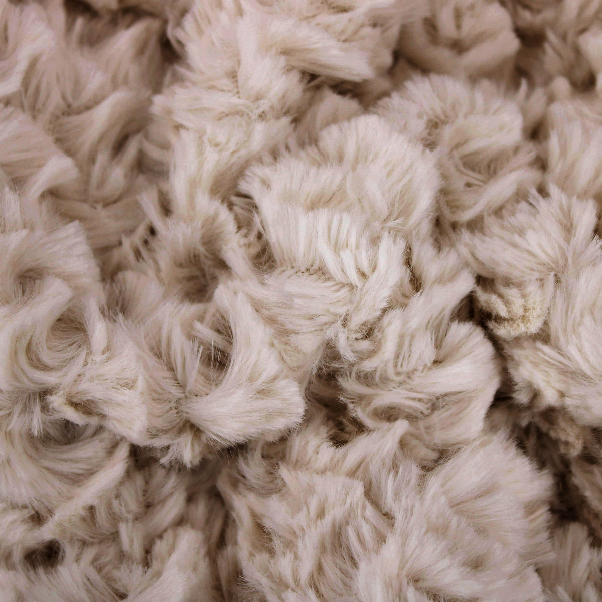Curl Fur Vegan Teddy - Beige