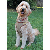 Simplicity Dog Harness in Sizes S-M-L and Leash with Trim Options Sewing Pattern S9664A