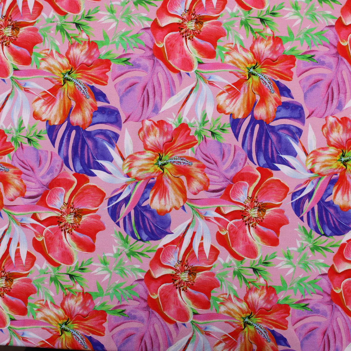 Tropical Flower Bloom Cotton Jersey Print Dressmaking Fabric Material Kids OEKO TEX Jersey Stretch spandex Nightwear Pyjamas floral women Knit soft Rose